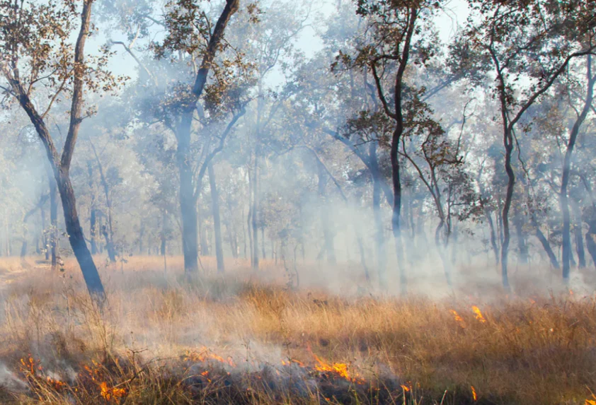 Timeless Comfort in Every Thread